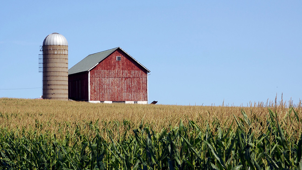 SurSafe Farm